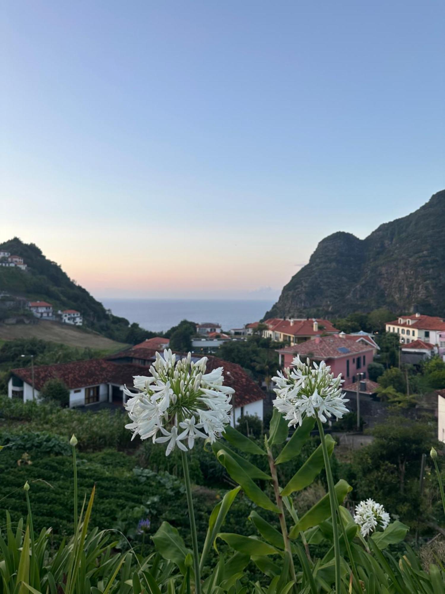 The Green Valley House São Vicente Εξωτερικό φωτογραφία